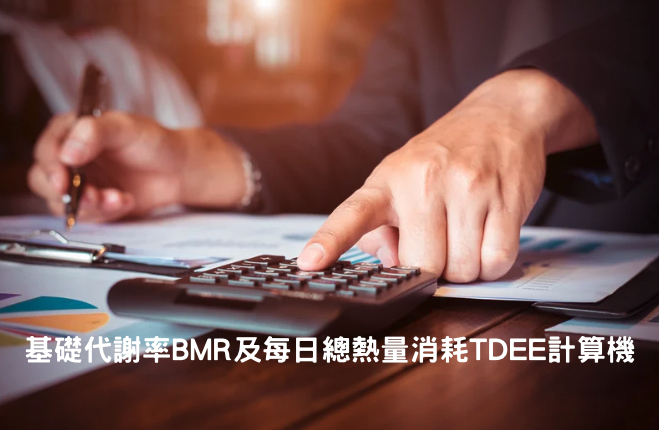 基礎代謝率BMR及每日總熱量消耗TDEE計算機