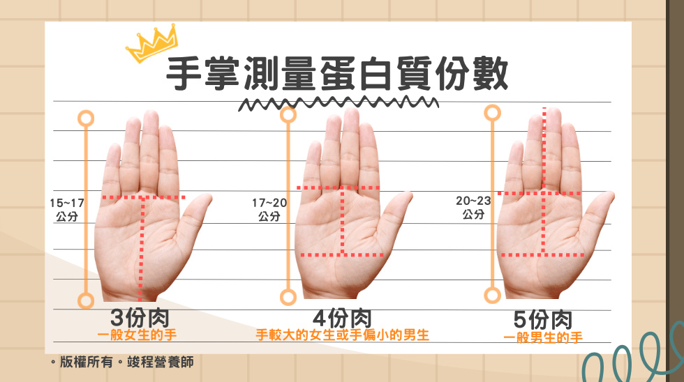 根據每個人手掌大小來測量每份豆魚蛋肉（蛋白質）的份數