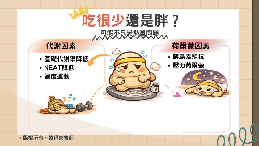 吃很少還是胖？你可能忽略代謝因素又或者是荷爾蒙的因素