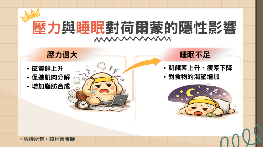 壓力與睡眠對荷爾蒙的隱性影響。皮質醇上升導致肌肉易分解、脂肪易合成。飢餓素上升而瘦素下降導致對食物的渴望增加