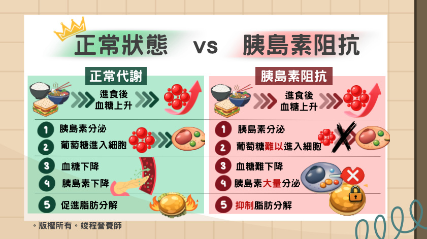 胰島素組抗為什麼會造成肥胖的原因