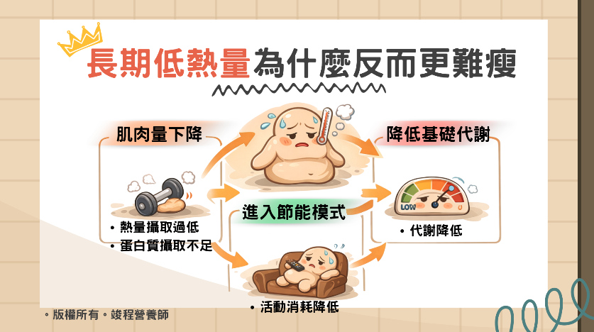 長期低熱量為什麼更難瘦?代謝降低、肌肉量下降