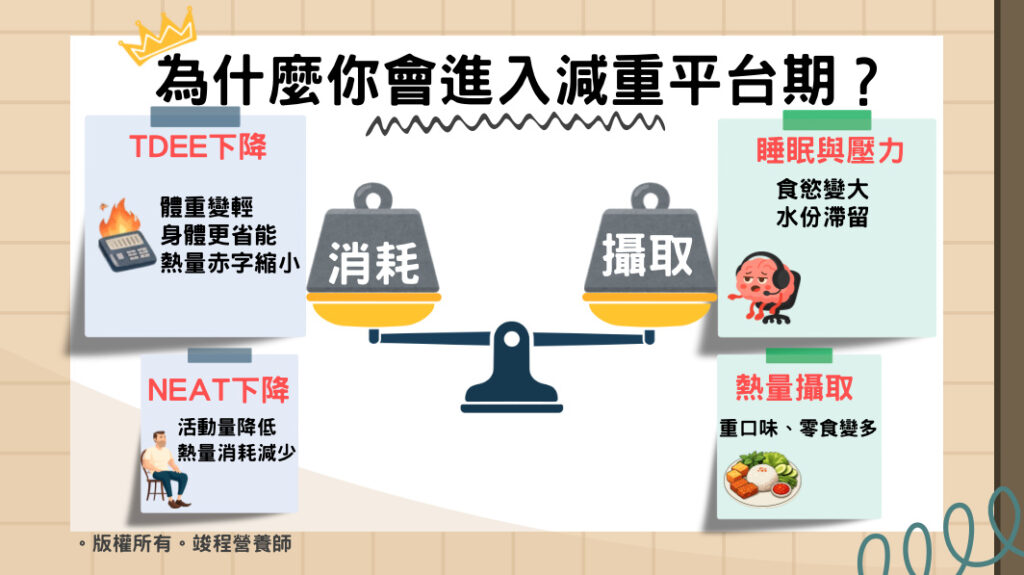 為什麼你會進入減重平台期?可能是因為TDEE下降、NEAT下降、睡眠與壓力、熱量攝取過多
